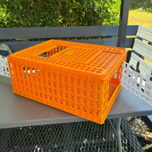 Medium Transport Basket