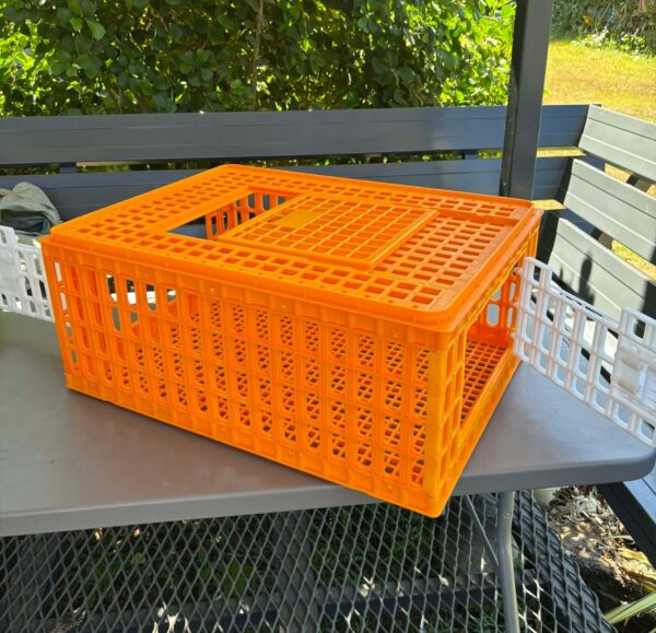 Medium Transport Basket