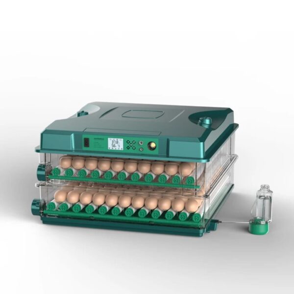 W260 Eggs incubator dual power